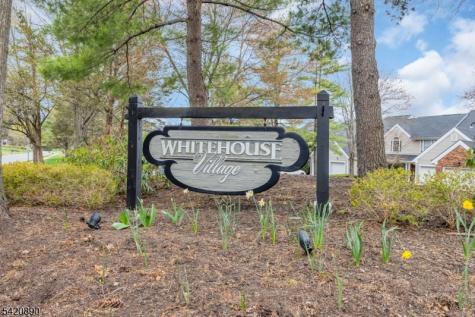 166 Aster Court Readington NJ 08889