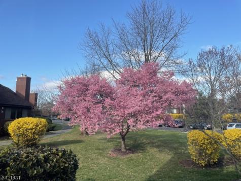 25 Bloomingdale Drive Hillsborough NJ 08844