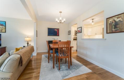 37 Chelsea Circle Raritan NJ 08822