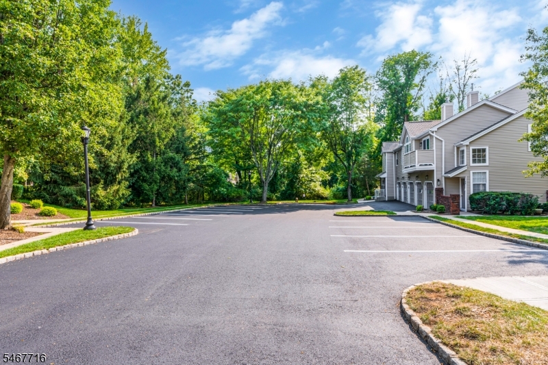 1 Teal Lane Bedminster NJ 07921