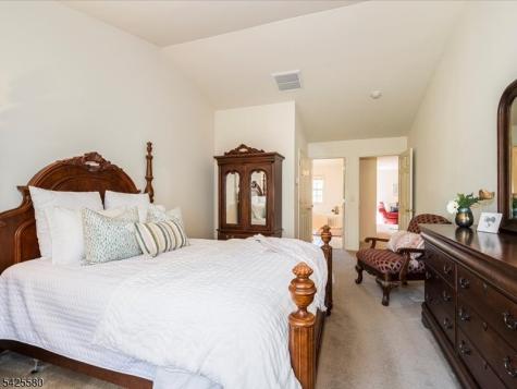 17 Pacio Court Roseland NJ 07068