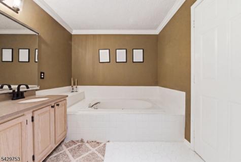 16 Timothy Court Morris NJ 07960