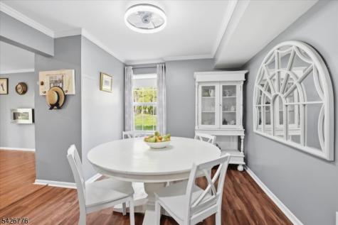 162 Vista Drive Hanover NJ 07927