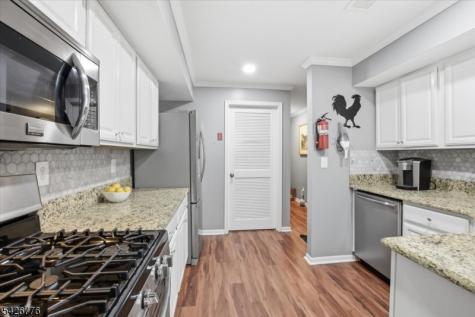 162 Vista Drive Hanover NJ 07927