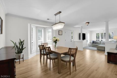 10 Raleigh Court Bernards NJ 07920