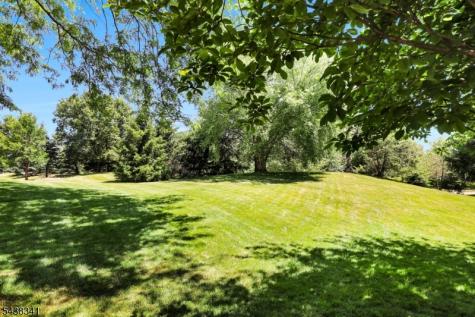10 Raleigh Court Bernards NJ 07920