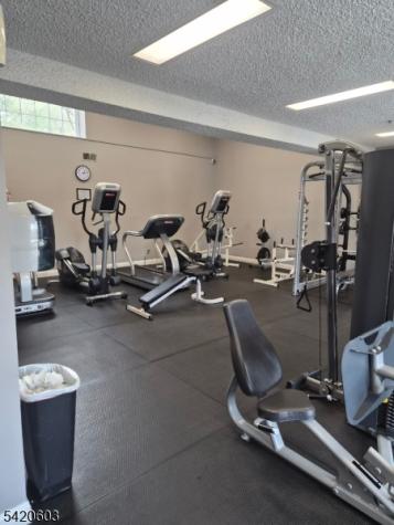 16 Dunbar Court Bedminster NJ 07921