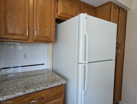 16 Dunbar Court Bedminster NJ 07921