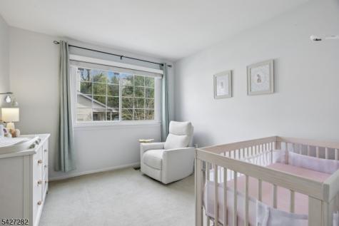 9 Sussex Court Bedminster NJ 07921