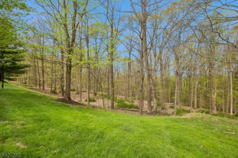 9 Sussex Court Bedminster NJ 07921