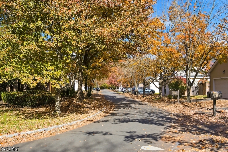 20 Governors Lane Princeton NJ 08540