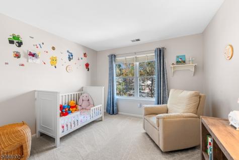 19 Birch Terrace Mount Arlington NJ 07856