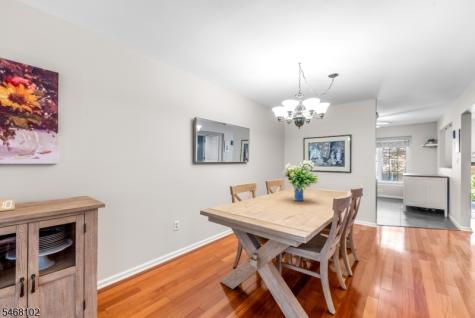 19 Birch Terrace Mount Arlington NJ 07856