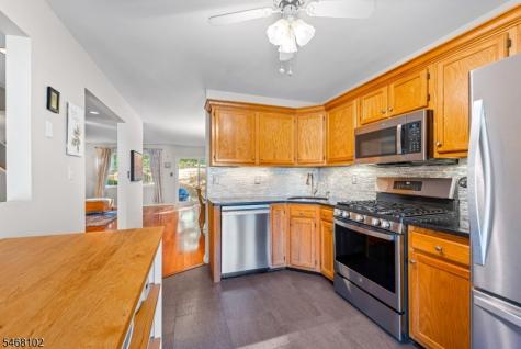 19 Birch Terrace Mount Arlington NJ 07856