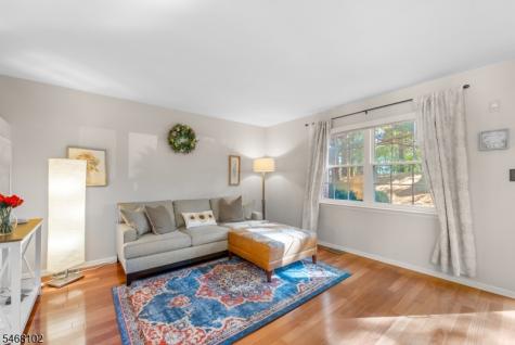 19 Birch Terrace Mount Arlington NJ 07856