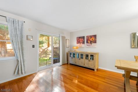 19 Birch Terrace Mount Arlington NJ 07856