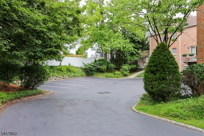 12 Cowperthwaite Place Westfield NJ 07090