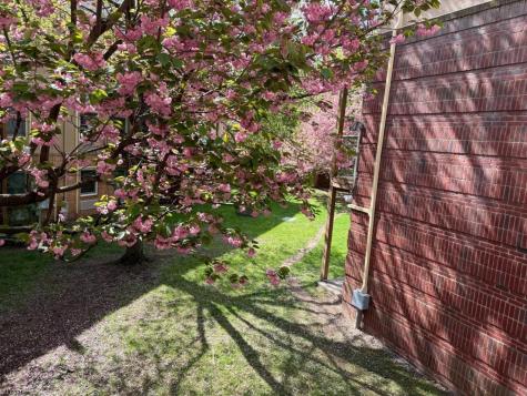 50 Pine Street Montclair NJ 07042
