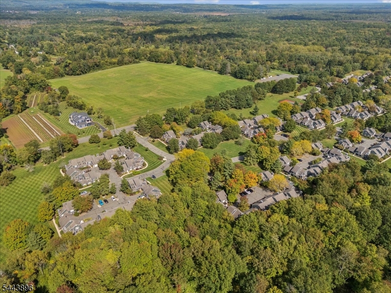 10 Village Drive Bernards NJ 07920