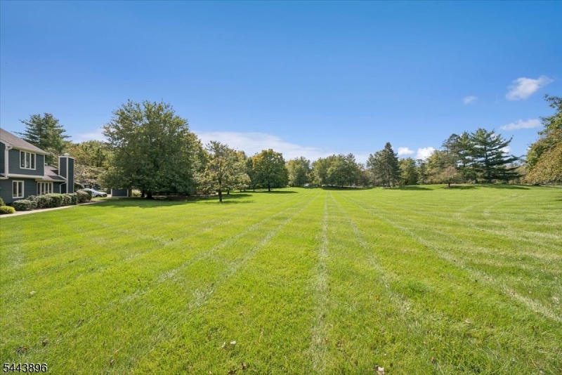 10 Village Drive Bernards NJ 07920