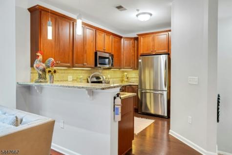 905 Brook Hollow Drive Hanover NJ 07981