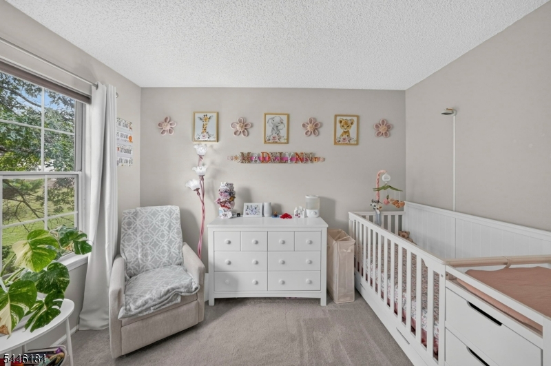 161 Gregory Lane Franklin NJ 08823