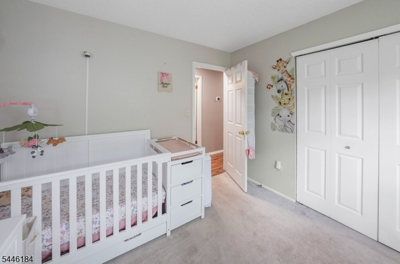 161 Gregory Lane Franklin NJ 08823