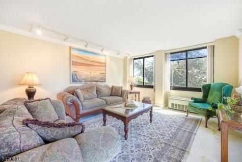 200 Winston Dr-c0109 Cliffside Park NJ 07010
