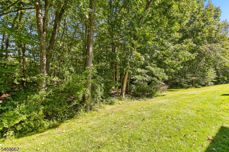 28 Raven Drive Morris NJ 07960