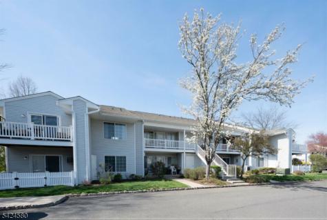 26 Larkspur Court Bedminster NJ 07921