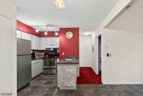 26 Larkspur Court Bedminster NJ 07921