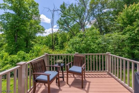 11 Albie Drive Mountain Lakes NJ 07046