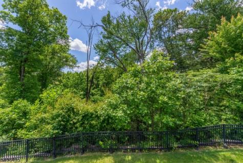 11 Albie Drive Mountain Lakes NJ 07046
