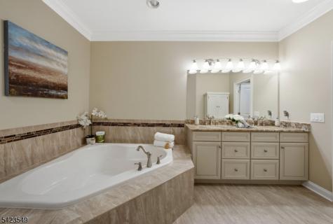 26 Wheatsheaf Farm Road Morris NJ 07960
