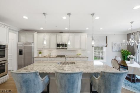 26 Wheatsheaf Farm Road Morris NJ 07960