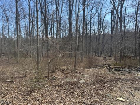25 Red Mill Road Lebanon NJ 08826