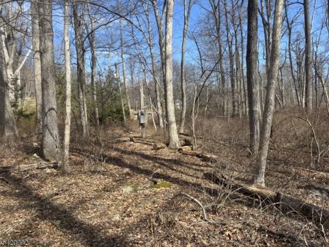 25 Red Mill Road Lebanon NJ 08826