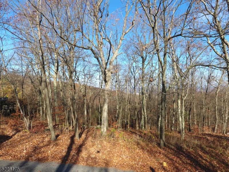 78 Lakeside Drive NW Vernon NJ 07461