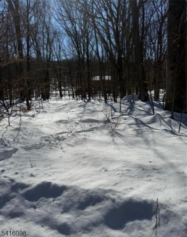 15 Saw Mill Road Kinnelon NJ 07405