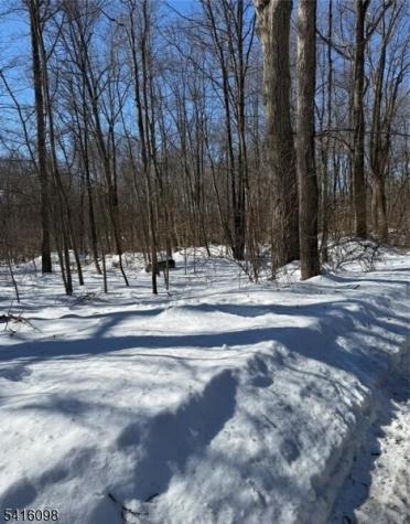 15 Saw Mill Road Kinnelon NJ 07405