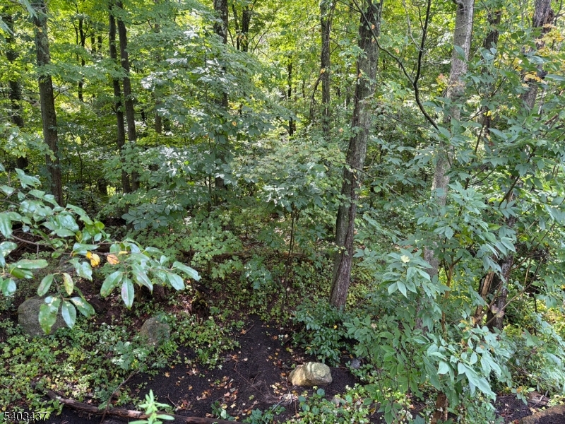 Ridge Road Jefferson NJ 07438