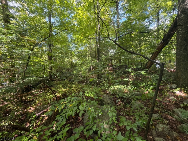 Ridge Road Jefferson NJ 07438