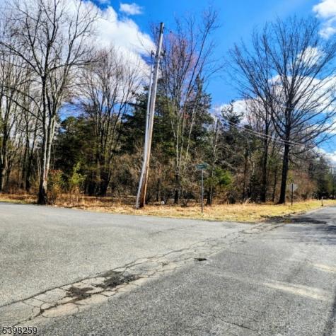 2 Shrope Lane Kingwood NJ 08825