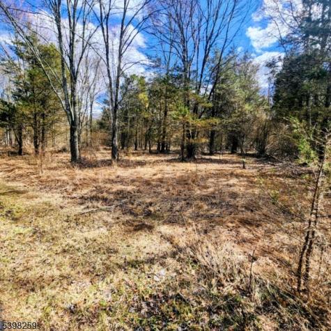 2 Shrope Lane Kingwood NJ 08825