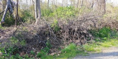 37 Cypress Drive Hampton NJ 07860