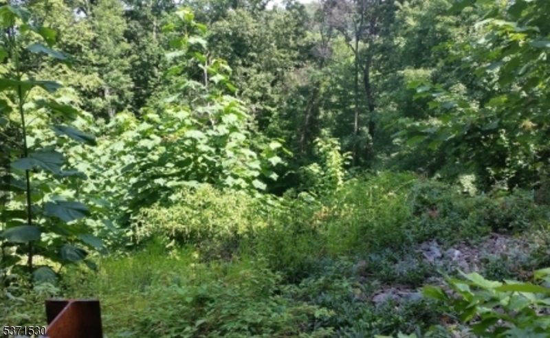21 Rockledge Road Montville NJ 07045