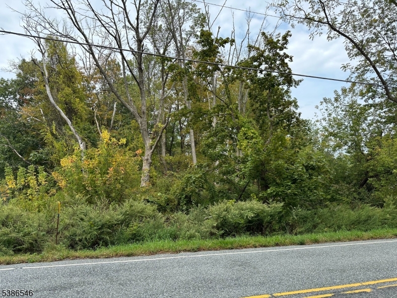 413 Mountain Lake Road Liberty NJ 07838