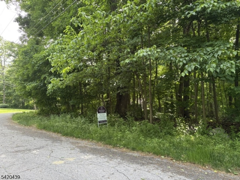 3 Wood Dale Court Vernon NJ 07461