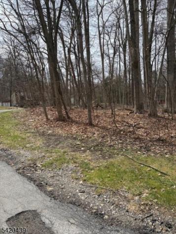 3 Wood Dale Court Vernon NJ 07461