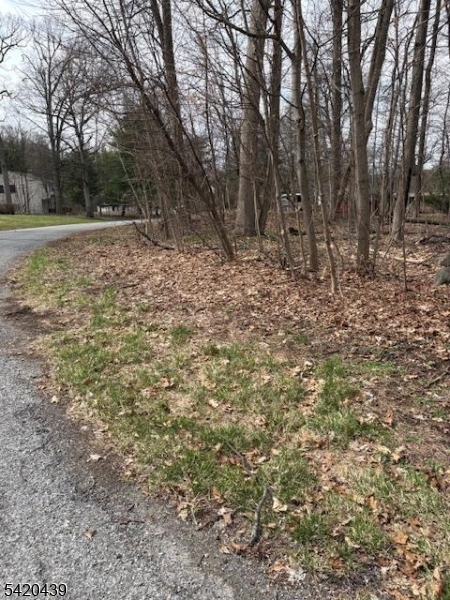 3 Wood Dale Court Vernon NJ 07461